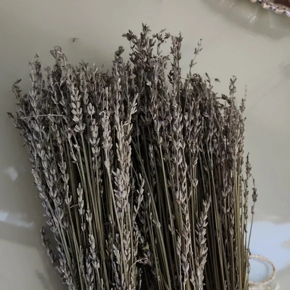 Last three bundles of Kentucky grown lavender - Picture 4 of 5